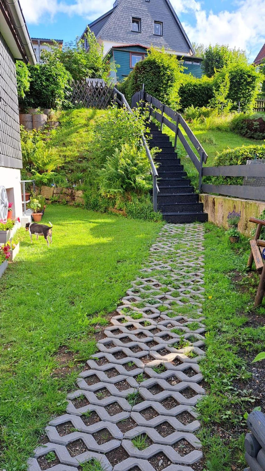 Ferienwohnung Friedrichsruh Braunlage Exterior photo