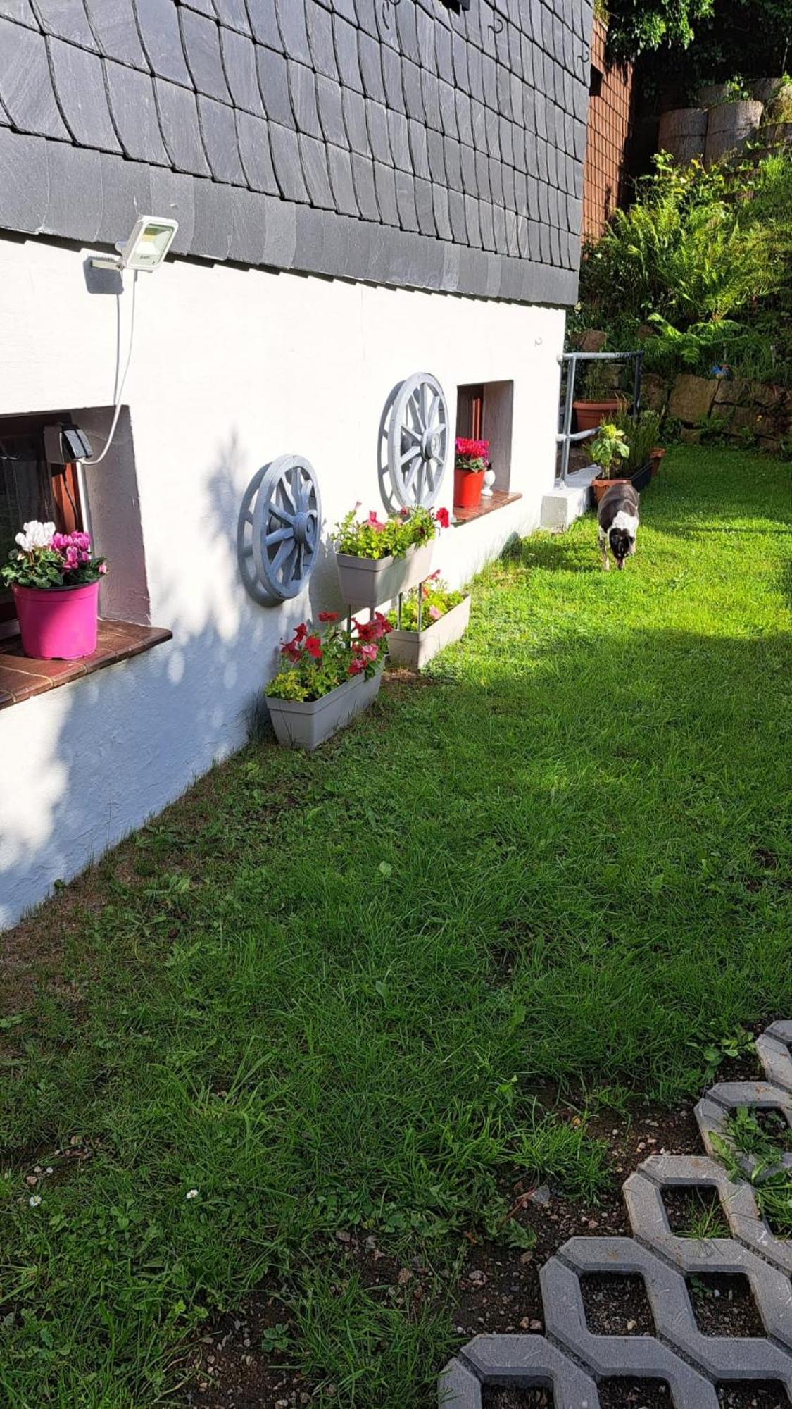 Ferienwohnung Friedrichsruh Braunlage Exterior photo
